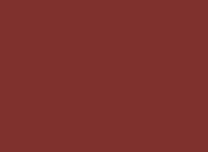 Insta Colors Amazing Brown Nail Polish – Premium Brown Nail Colour with Glossy Finish
