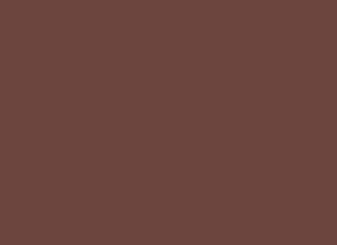 Insta Colors Hot Brown Nail Polish – Premium Brown Nail Colour with Rich Glossy Finish