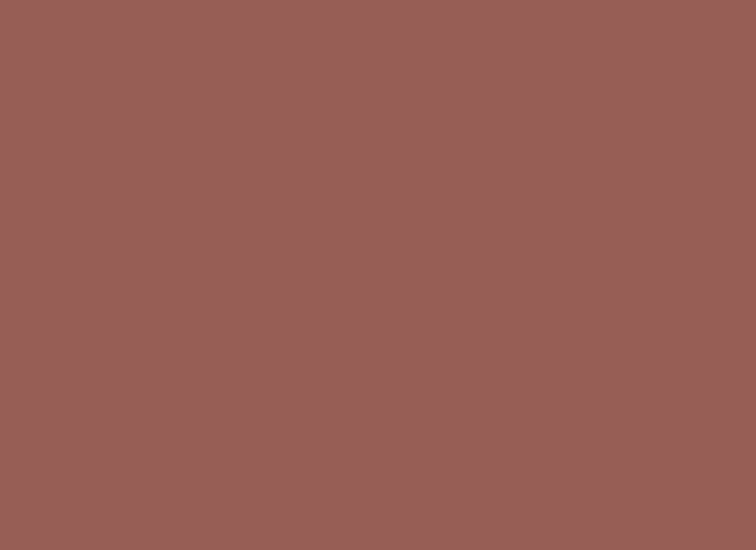 Insta Colors Coffee Brown Nail Polish – Premium Brown Nail Colour for a Rich Glossy Manicure