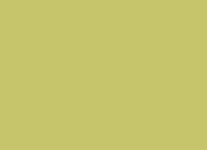 Insta Colors Dream Catcher Nail Polish – Premium Lime Green Nail Colour with Glossy Finish