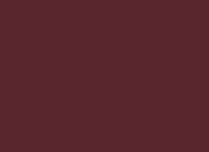 Insta Colors Maroon Nail Polish – Premium Deep Maroon Nail Colour with Rich Glossy Finish