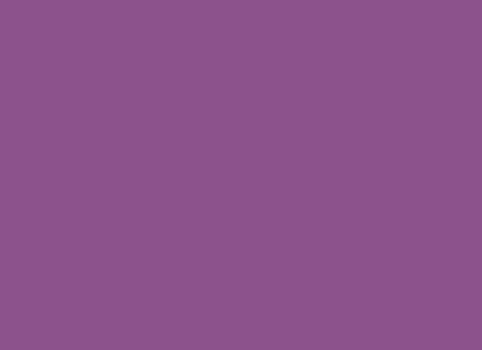 Insta Colors Purple Nail Polish – Premium Quality Purple Nail Colour with Smooth Glossy Finish