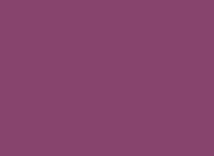 Insta Colors Plum Nail Polish – Premium Plum Nail Colour with Rich Glossy Finish