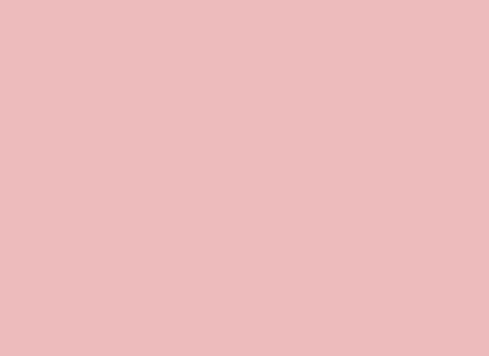 Insta Colors Nude Pink Matt Nail Polish – Premium Nude Pink Nail Colour with Elegant Matte Finish